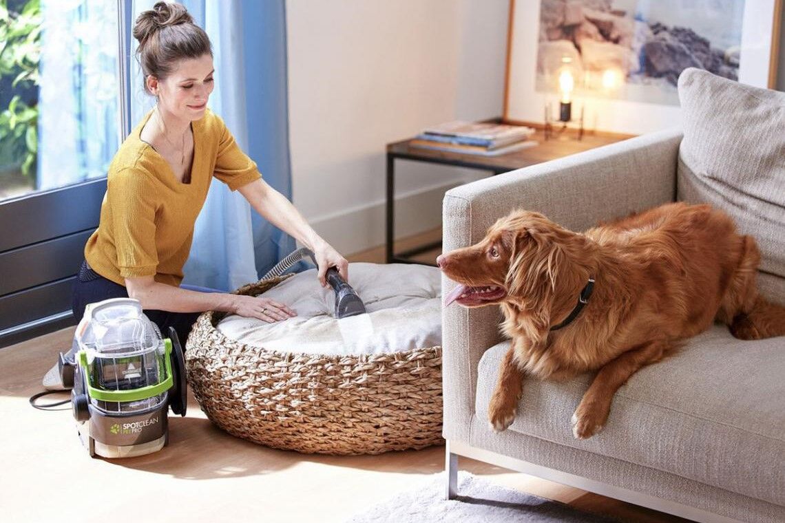 bissel spot clean pet pro